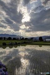 開成町あじさい祭　空