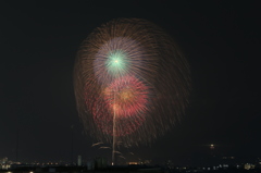 夜空に咲く満開の花