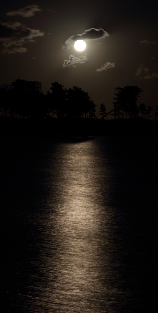 moonlight road