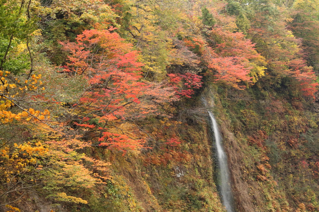 秋田 小安峡