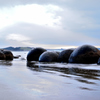 Moeraki Boulders