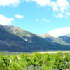 from TranzAlpine