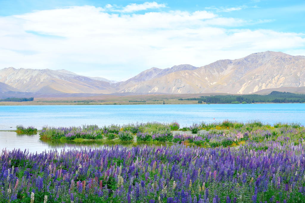 Lake Tekapo