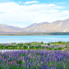 Lake Tekapo