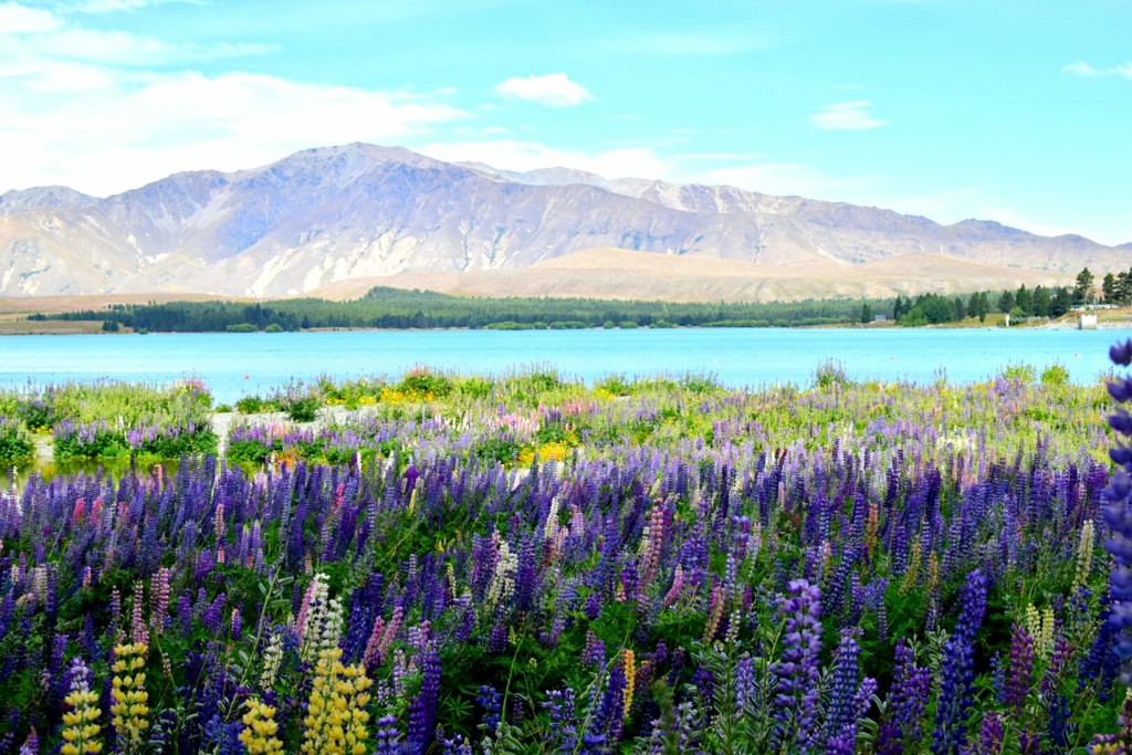 Lake tekapo