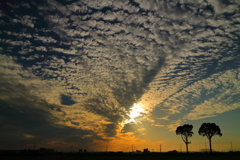 やっと見れた秋空！