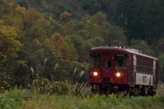 雨の秋を感じて