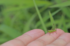 降ろしてよ～