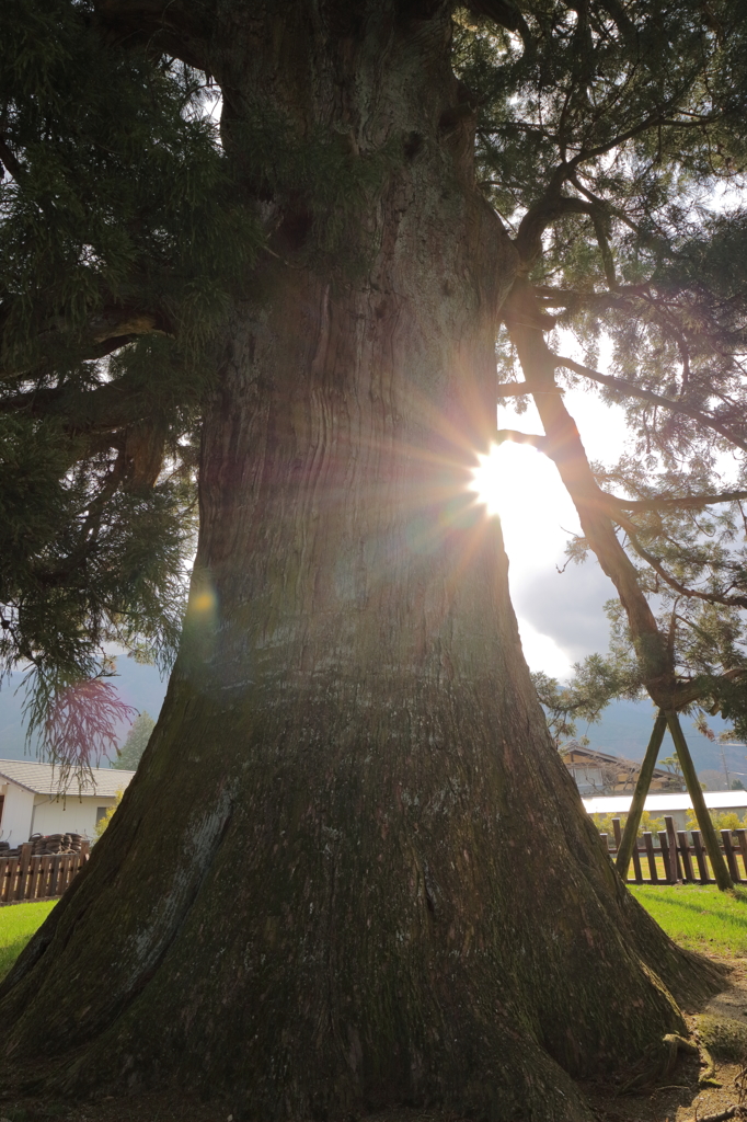 雲間から覗いた朝陽