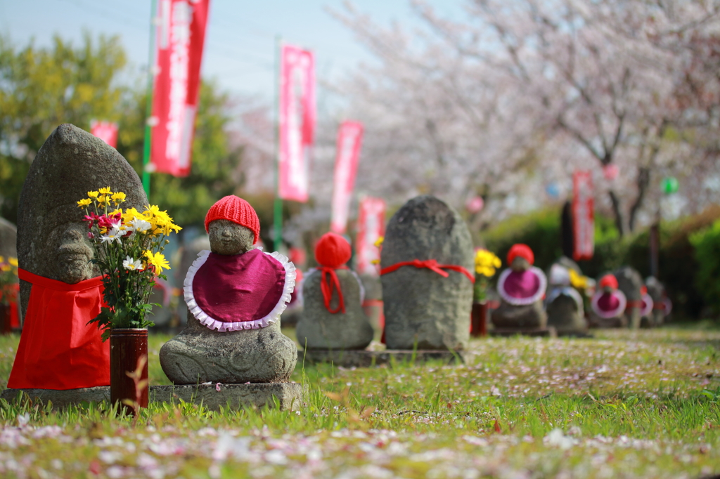 桜の木の下で