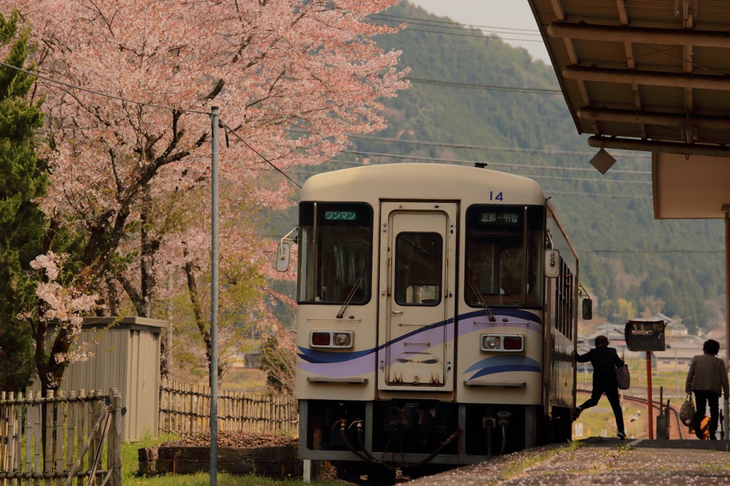 桜の見れる駅