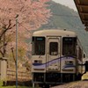 桜の見れる駅