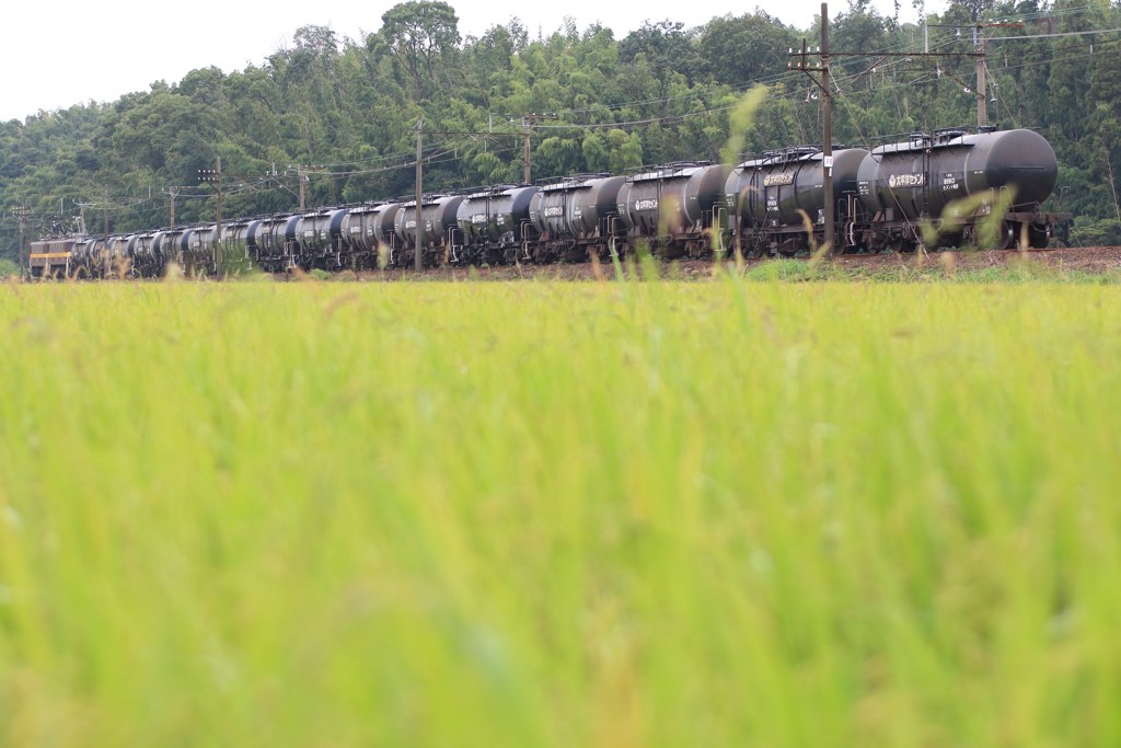 Rainy freight train...