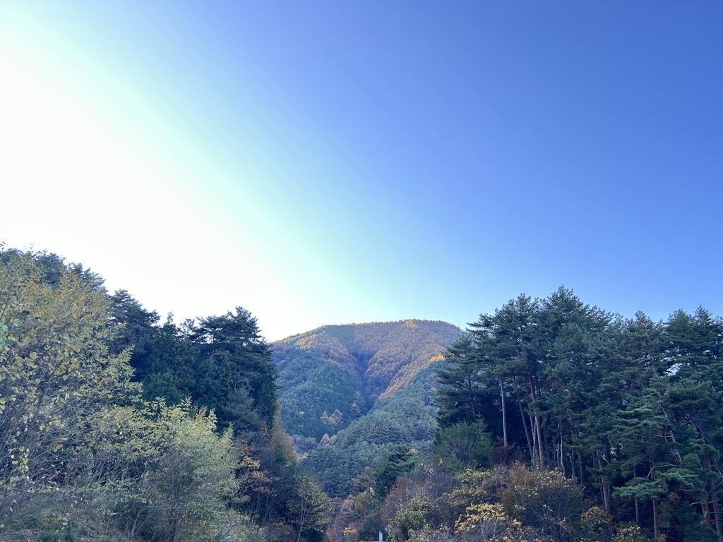 山のヒカリ