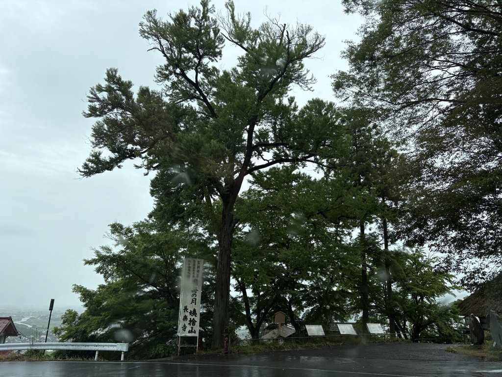雨の中