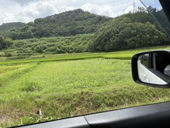 また来夏に…