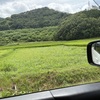 また来夏に…
