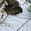 0022 降雪後の春
