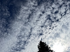 3 雲とソラ