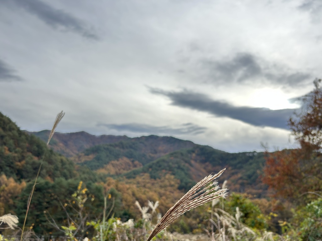 紅葉も…