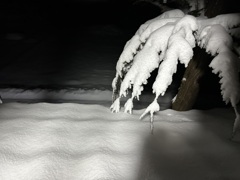 雪積もり