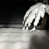 雪積もり