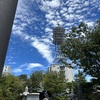 秋のはじまり