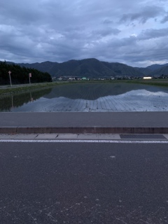夕方