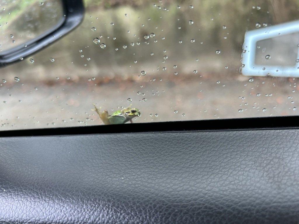 いってきまーす
