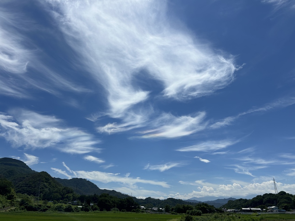 田舎の夏