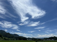 田舎の夏