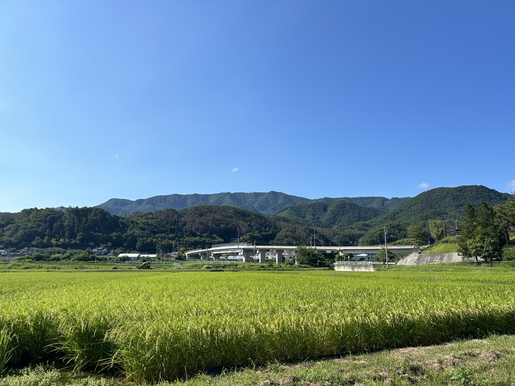 秋が近づく