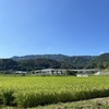 秋が近づく