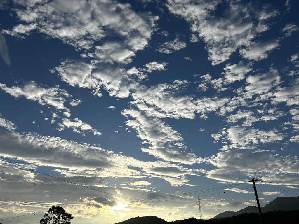 ソラ