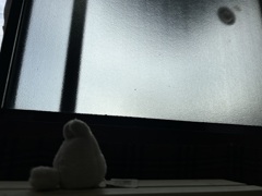 なにを…