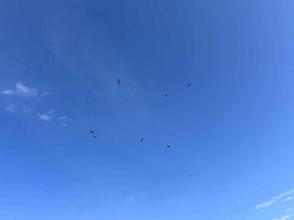 ソラは