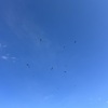 ソラは