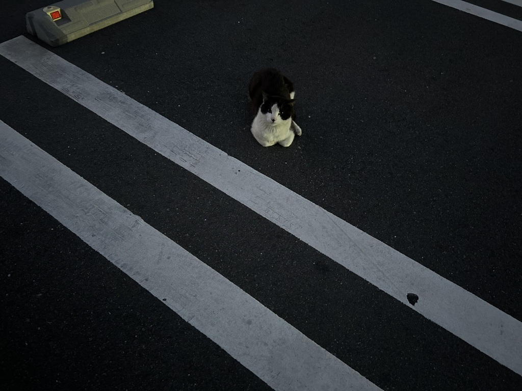 ほどよい距離感
