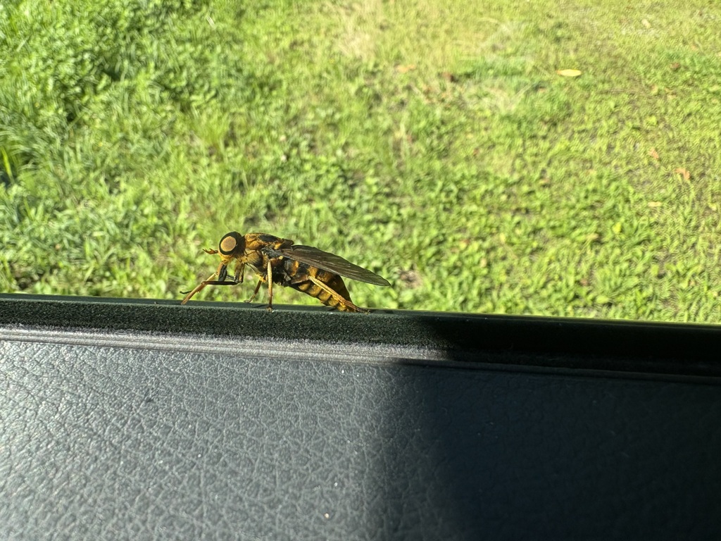 おはようございます