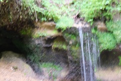 滝