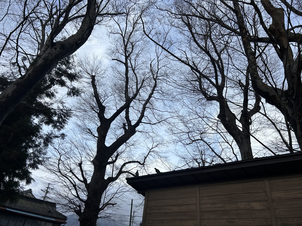 はと3