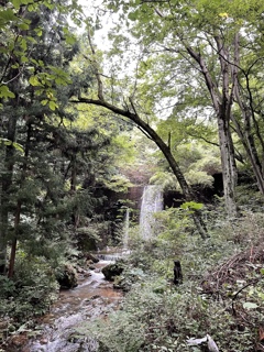 0 水