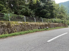 遅昼