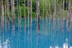 青い池