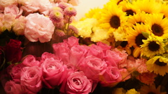 薔薇、菊、向日葵のコラボレーション