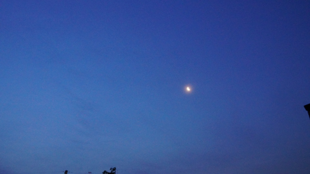 火星は捉えられず・夜明け前の月とソラ