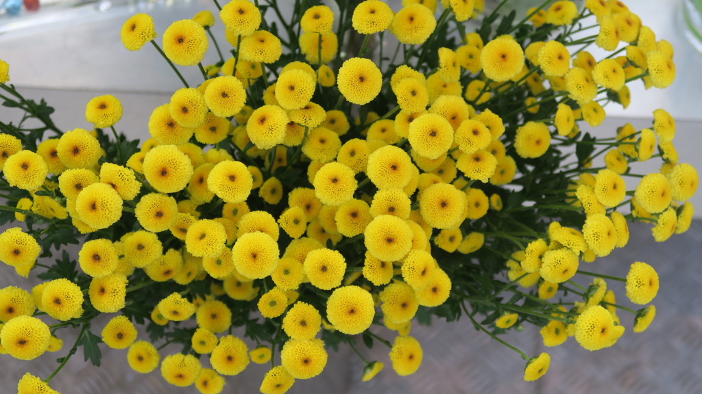 北綾瀬駅前のお花屋さん