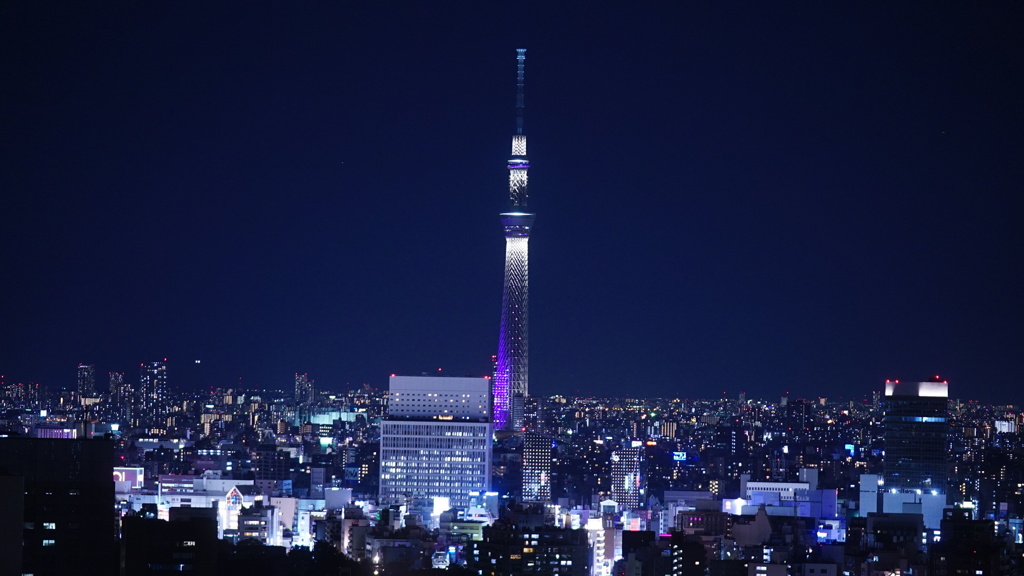 文京シビックからのスカイツリー夜景
