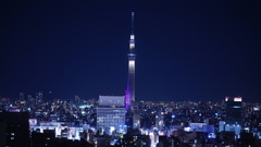 文京シビックからのスカイツリー夜景