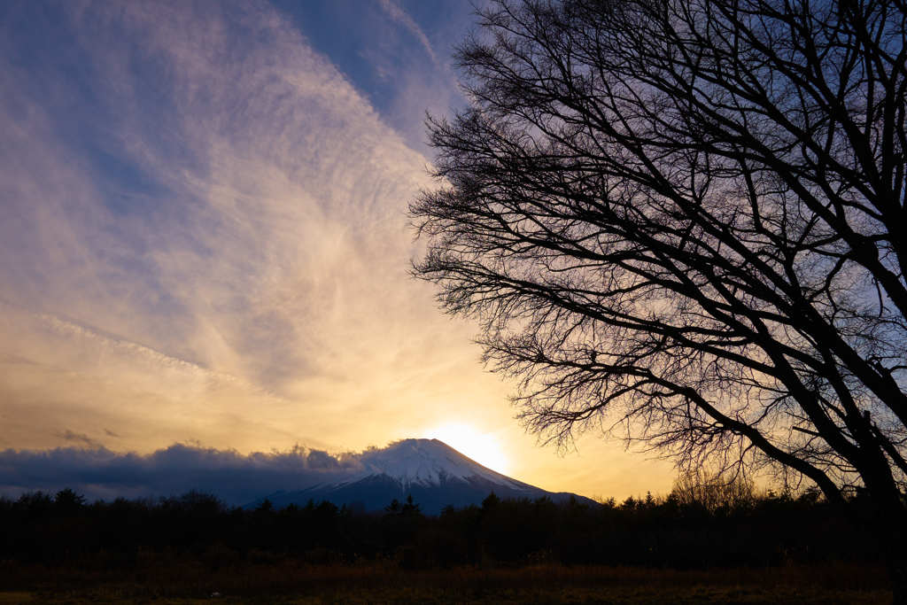 シャンパンゴールドソラと富士山：萌え(Moet)燃え？